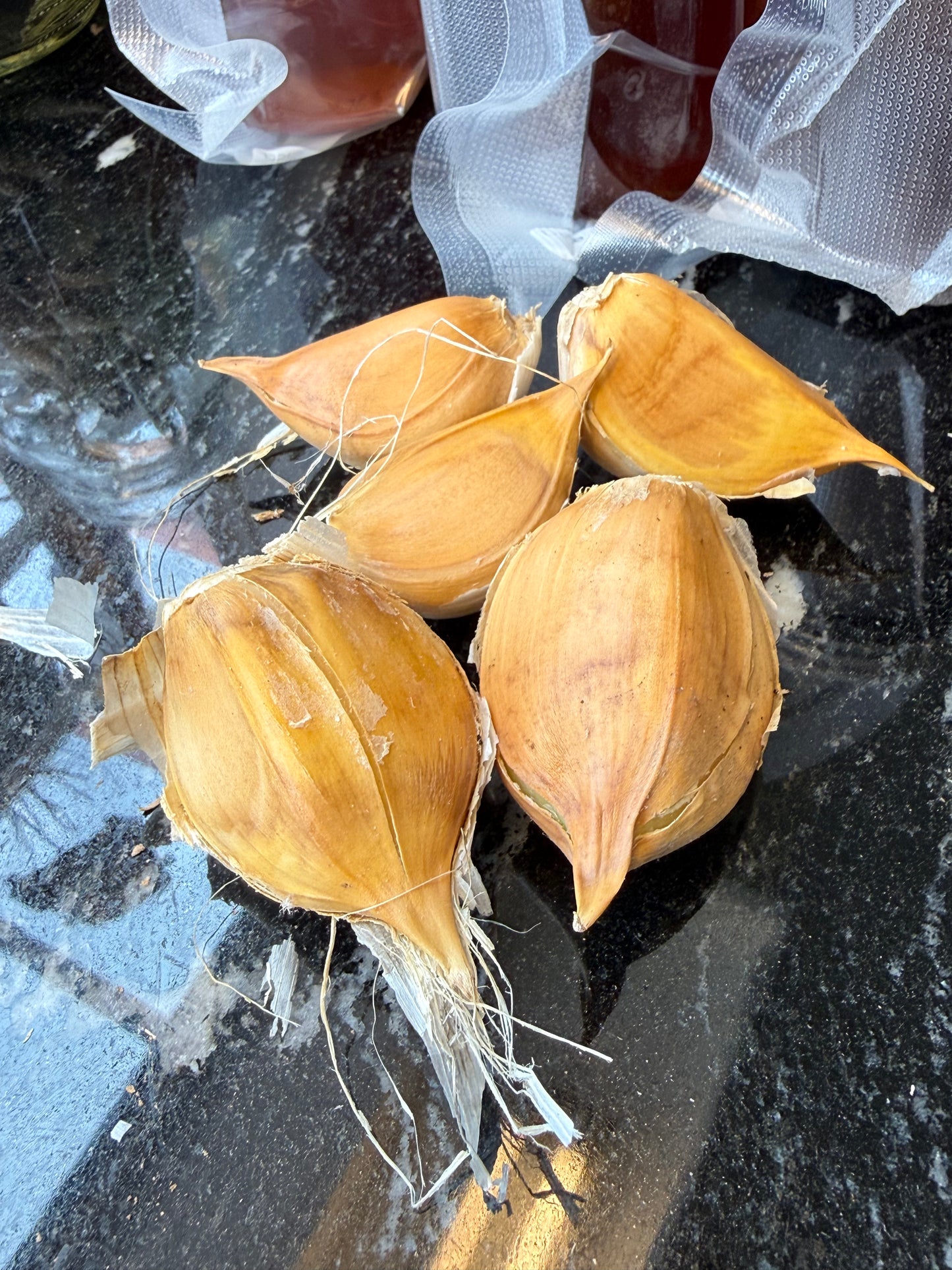 Elephant Garlic Bulbs