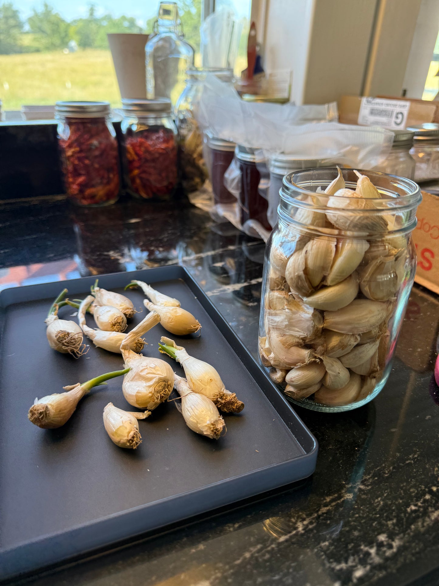 Louisiana Shallot Cloves